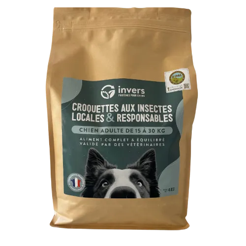 Croquettes Insectes Invers Chien Moyen Fabriqu En France Croquettes Insectes Invers Chien Moyen Fabriqu En France