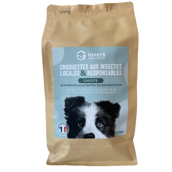 Croquettes Aux Insectes Invers Chiot Fabriqu En France Croquettes Aux Insectes Invers Chiot Fabriqu En France