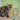 Mon chat ne boit pas