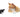Chat Végétarien