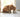 Croquettes Chat Senior