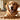 Croquettes Chien Fabriquées en France