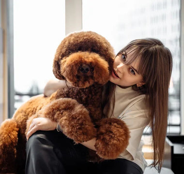 Huile de Saumon Chien