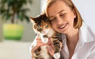 Huile de Saumon Chat