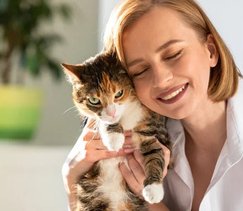 Huile de Saumon Chat