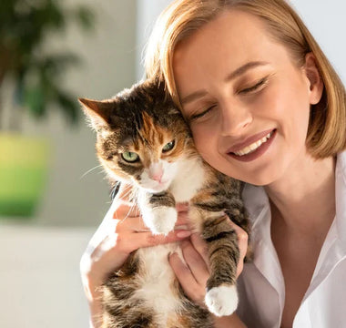 Huile de Saumon Chat