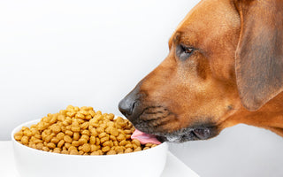 Croquettes sans céréales pour chien