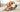Mastication Chien