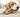 Mastication Chien
