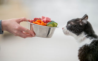 Nourriture Naturelle Chat