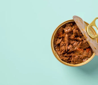 Pâtée Chat Sans Céréales