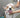 Shampoing Naturel Chien