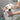 Shampoing Naturel Chien