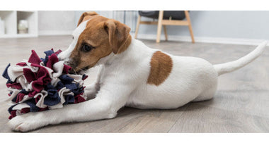 Tapis de fouille pour Chien : un accessoire ludique et stimulant