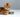 Quelles alternatives à Whiskas pour votre chat ?