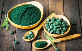 Spiruline Chien