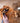 Baume Nourrissant Equilibre & Instinct Naturel Chien Chat