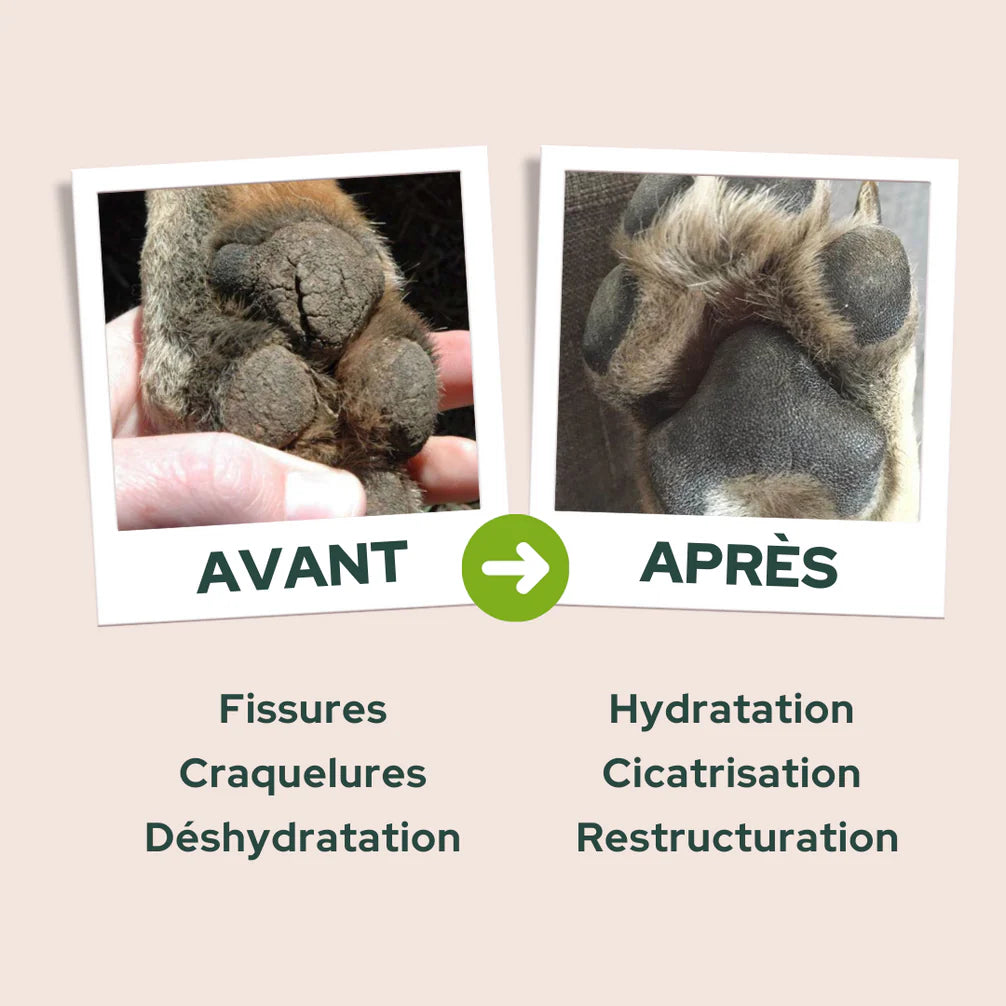 Baume Reparateur Equilibre & Instinct Naturel Chien Chat