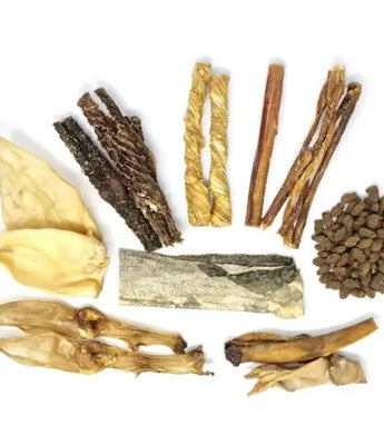 Box Mastication Chien Friandises Naturelles 