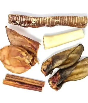 Box Mastication Chien Friandises Naturelles