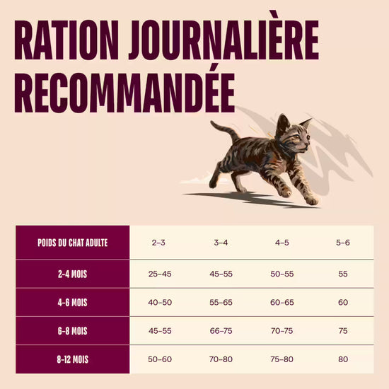 Carnilove Croquettes Sans Cereales Saumon & Dinde pour Chaton