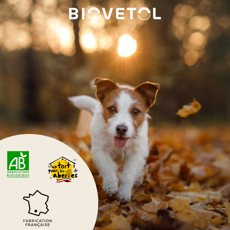 Complément Alimentaire Digestion Biovetol Bio Naturel Chien Chiot