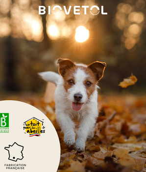 Complément Alimentaire Digestion Biovetol Bio Naturel Chien Chiot