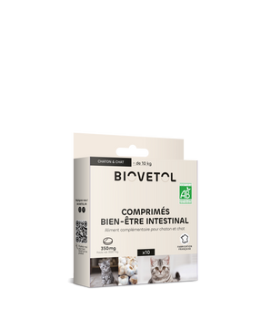 Complément Alimentaire Digestion Biovetol Bio Naturel Chat Chaton