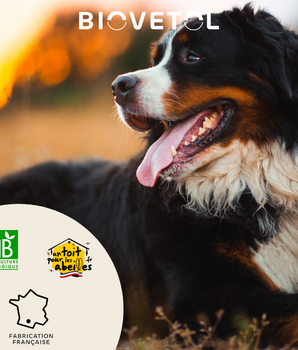 Complément Alimentaire Digestion Biovetol Bio Naturel Grand Chien