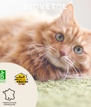 Complément Alimentaire Digestion Biovetol Bio Naturel Chat Chaton