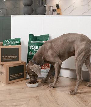 Croquettes Equilibre & Instinct Volaille Moyen Grand Chien