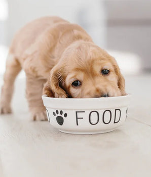 Croquettes Almo Nature Holistic Poulet Chiot Petite Race