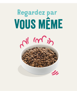 Croquettes Bio Edgard Cooper Bœuf Poulet Chien