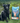 Croquettes Bio Yarrah Poulet Poisson Chien Senior