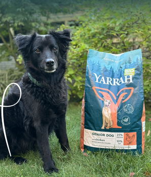 Croquettes Bio Yarrah Poulet Poisson Chien Senior