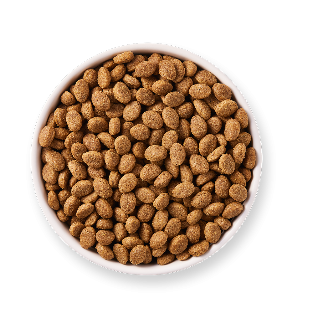 Croquettes Bio Yarrah Poulet Poisson Chien Senior et Âgé