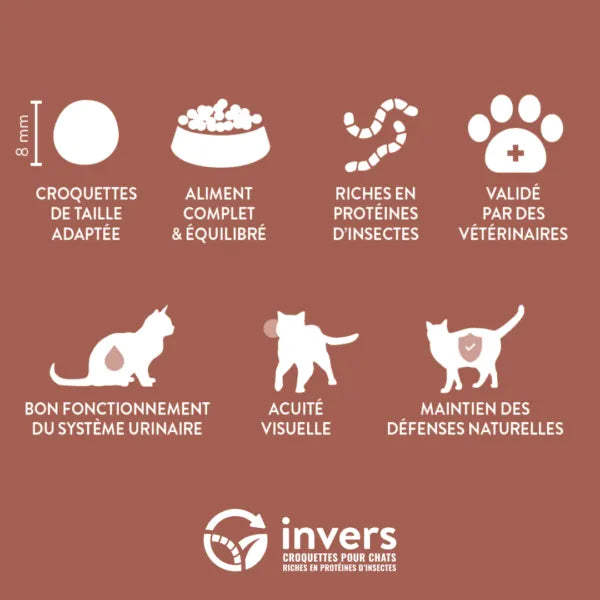 Croquettes Insectes Chat Adulte Stérilisé Invers Fabriqué en France