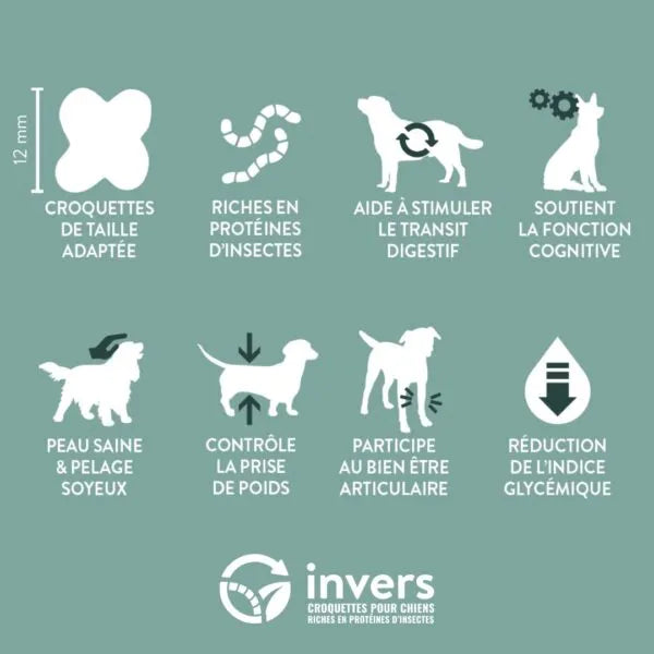 Croquettes Insectes Chien Senior Invers Fabriqué en France
