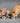 Croquettes Sans Céréales Alleva Holistic Poisson Chiot Moyenne Race