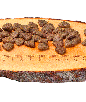 Croquettes Sans Céréales Carnilove Saumon Chien