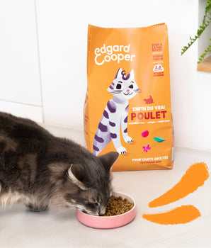 Croquettes Sans Céréales Edgard Cooper Poulet Chat