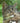 Croquettes Sans Céréales Edgard Cooper Poulet Dinde Chat Senior
