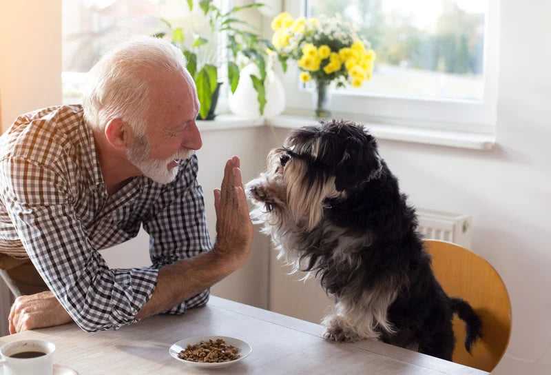 Croquettes Sans Céréales Egard Cooper Poulet Saumon Chien Senior