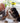 Croquettes Sans Céréales Egard Cooper Poulet Saumon Chien Senior