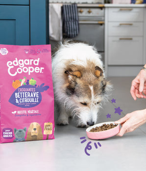 Croquettes Végétariennes Edgard Cooper Betterave Citrouille Chien
