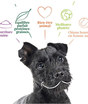 Croquettes Végétariennes Biologiques Yarrah pour Chien