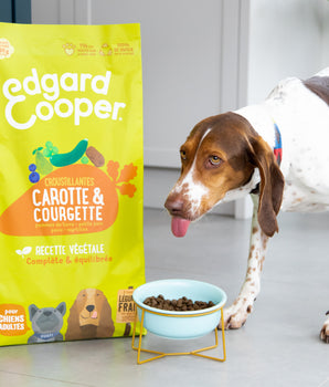 Croquettes Végétariennes Edgard Cooper Carotte Courgette Chien