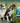 Croquettes Vegetariennes Yarrah pour Chien