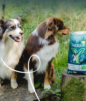 Croquettes Vegetariennes Yarrah pour Chien