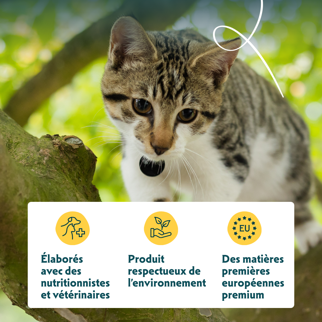 Croquettes Yarrah Bio Sans Ble Poulet Poisson Chat & Chaton